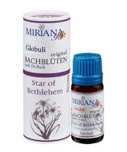 Star of Bethlehem - Bethlehem Star of 29 Bach Flower Animal